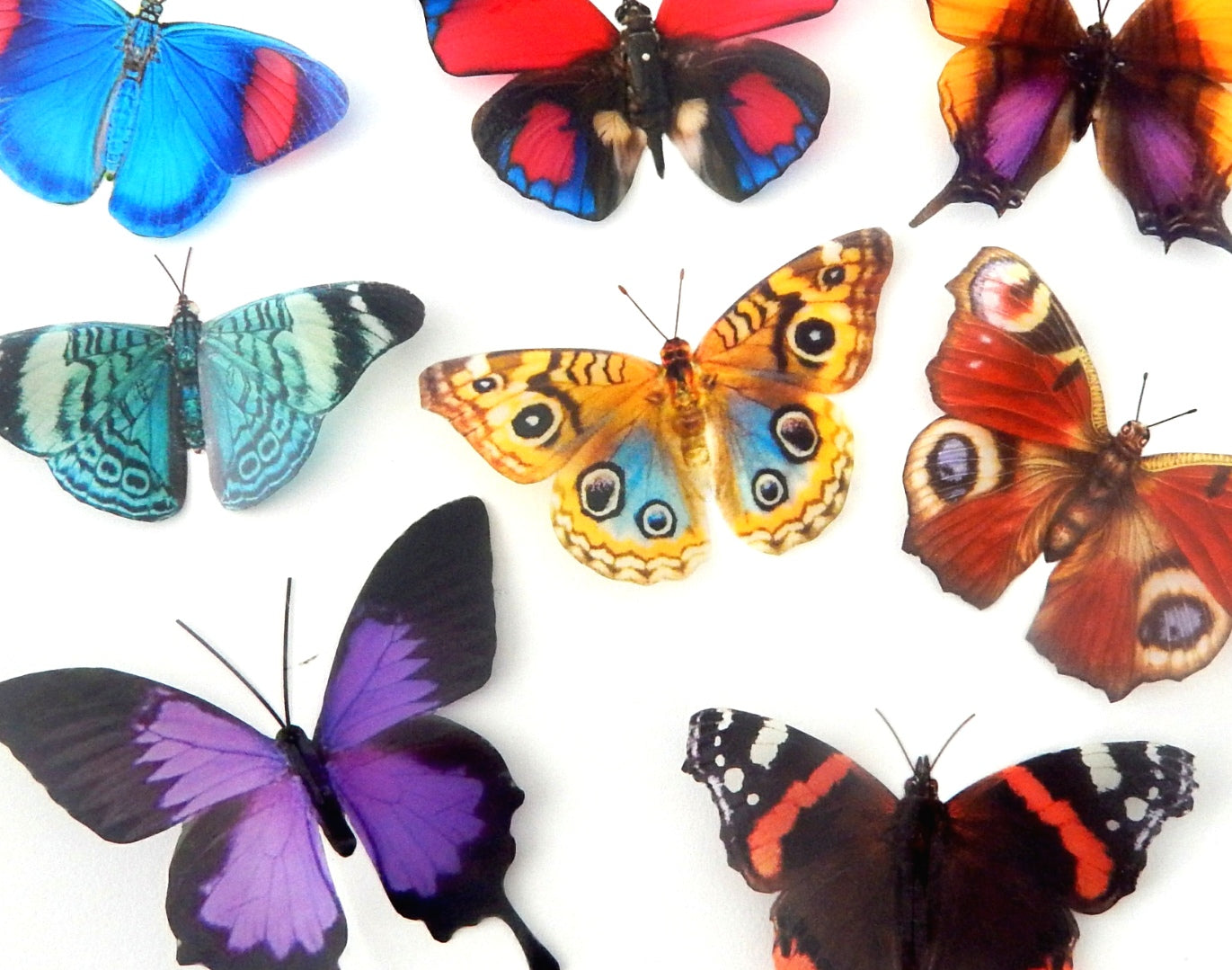 Enjoy 12Pcs PVC 3D Butterfly wall decor A1