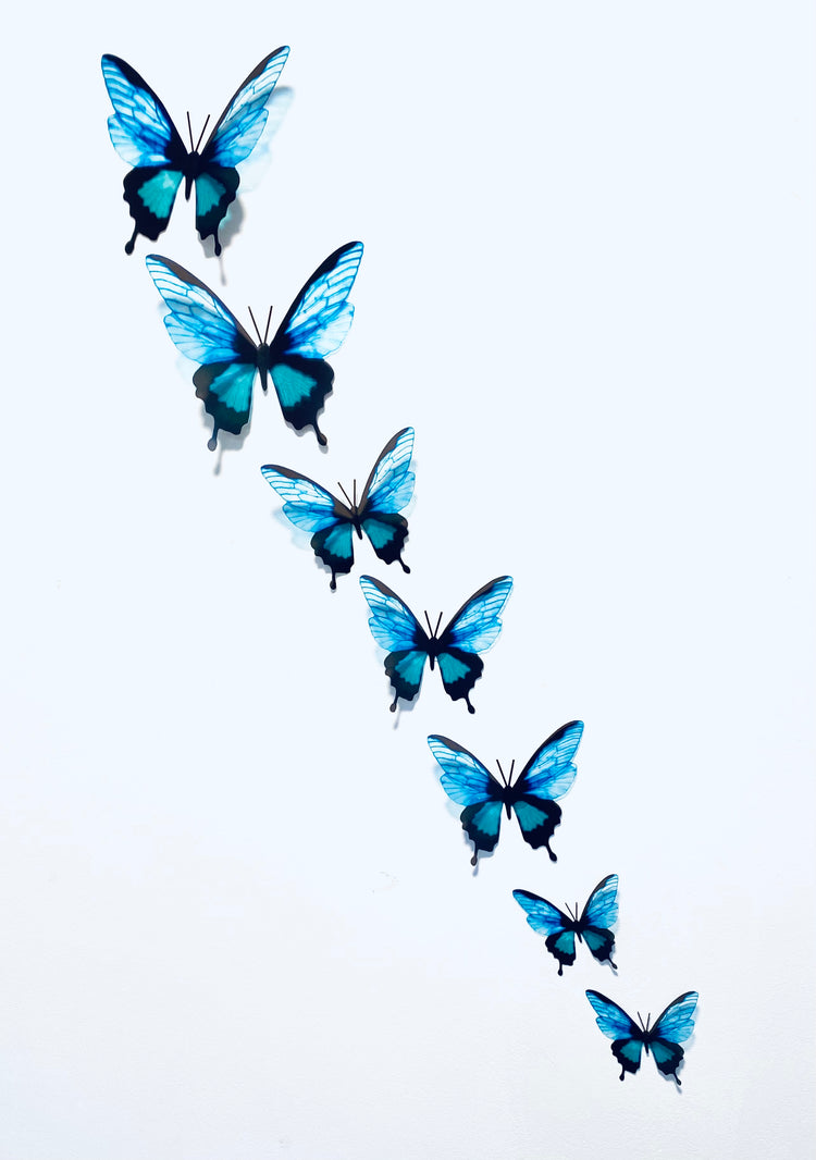 7 3d Teal colour butterflies. Horniman Turquoise natural butterflies, 3d stickers