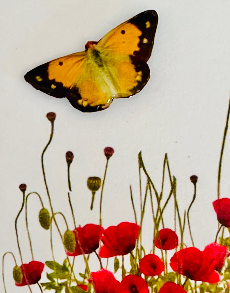 Clouded Yellow  butterfly brooch, lapel, pin