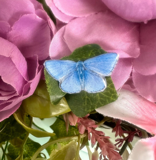 Common Blue  Butterfly handmade pins