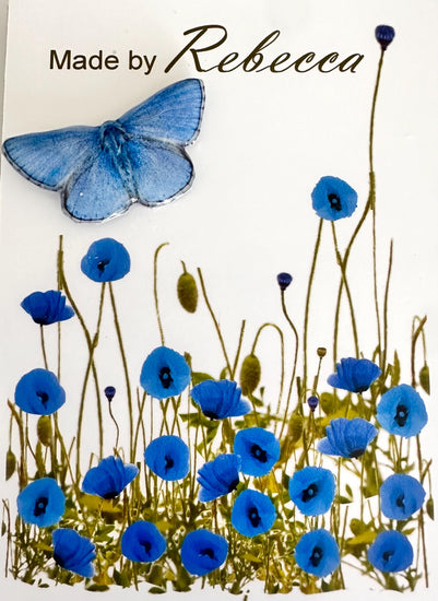 Common Blue  butterflies recycled gift