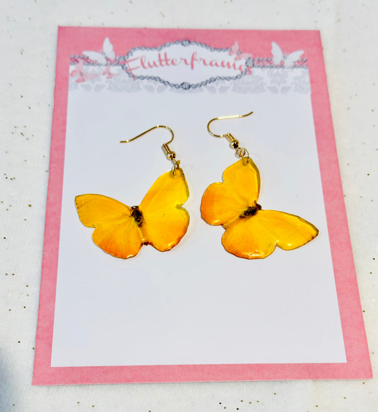 Orange Barred Sulphur Butterfly earrings and pendant.