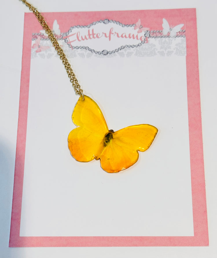 Orange Barred Sulphur Butterfly earrings and pendant.