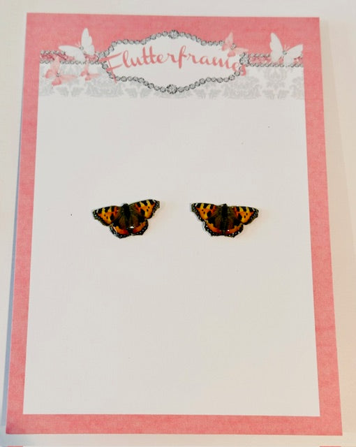 Small Tortoiseshell stud butterfly earrings