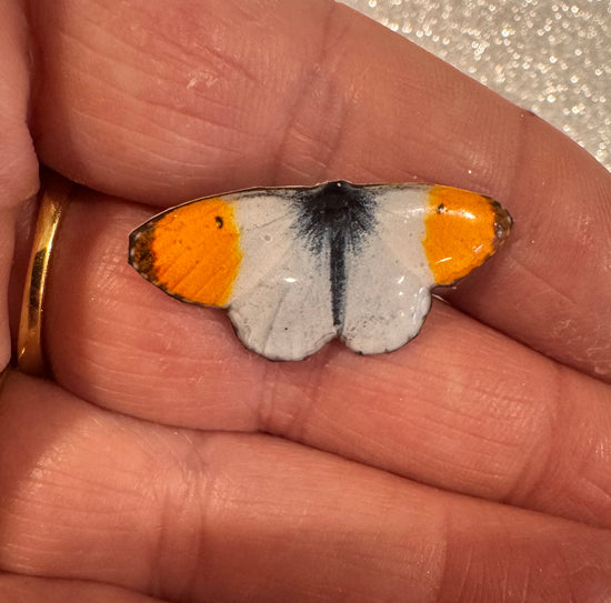 Orange tip butterfly pin