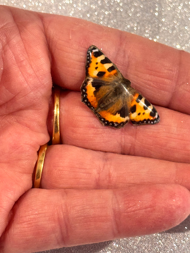 Tortoiseshell Butterfly  brooch 