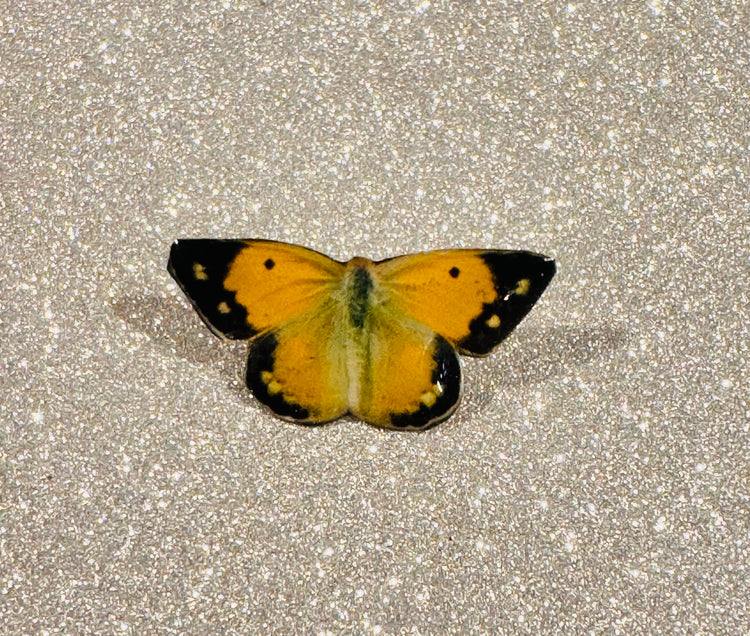 Clouded yellow enamel pin