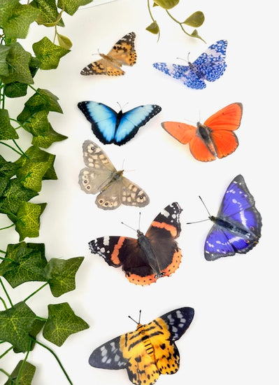 Natural looking butterflies for your walls