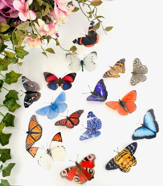 8 natural 3D butterflies,like in Escape to the Chateau, from the Country collection