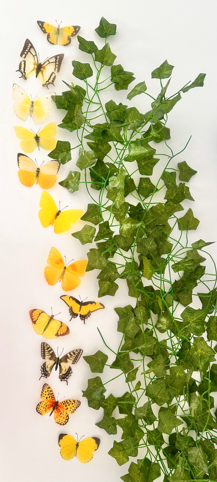 Yellow butterfly collection, set of 12 yellow butterflies from around the world.Handmade