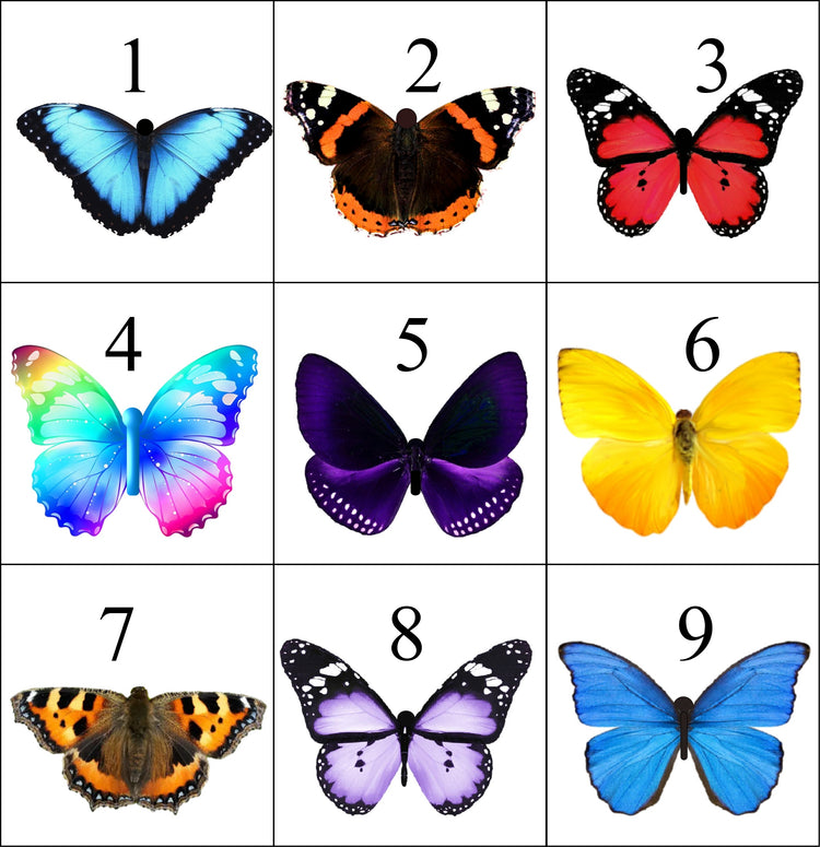 Flutterframes butterfly chart