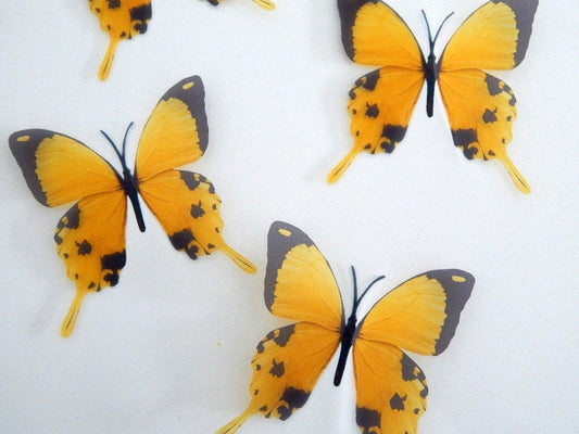 3d  pretty butterflies Yellow 3D Flying Removable Butterflies  Home Decorations Wall Art wedding tables indoor decor