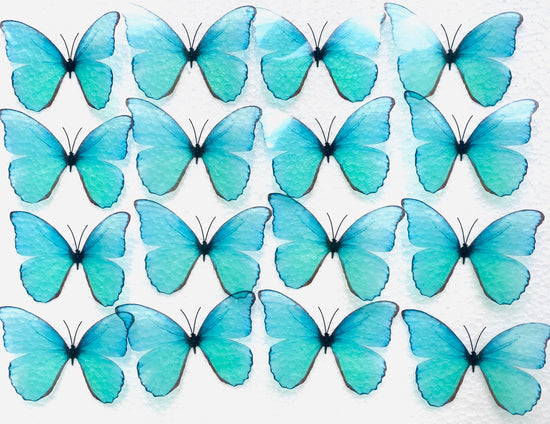 Turquoise 3d butterfly handmade home wall decor wedding unusual