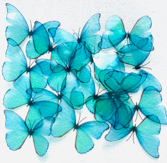 Turquoise 3d butterflies