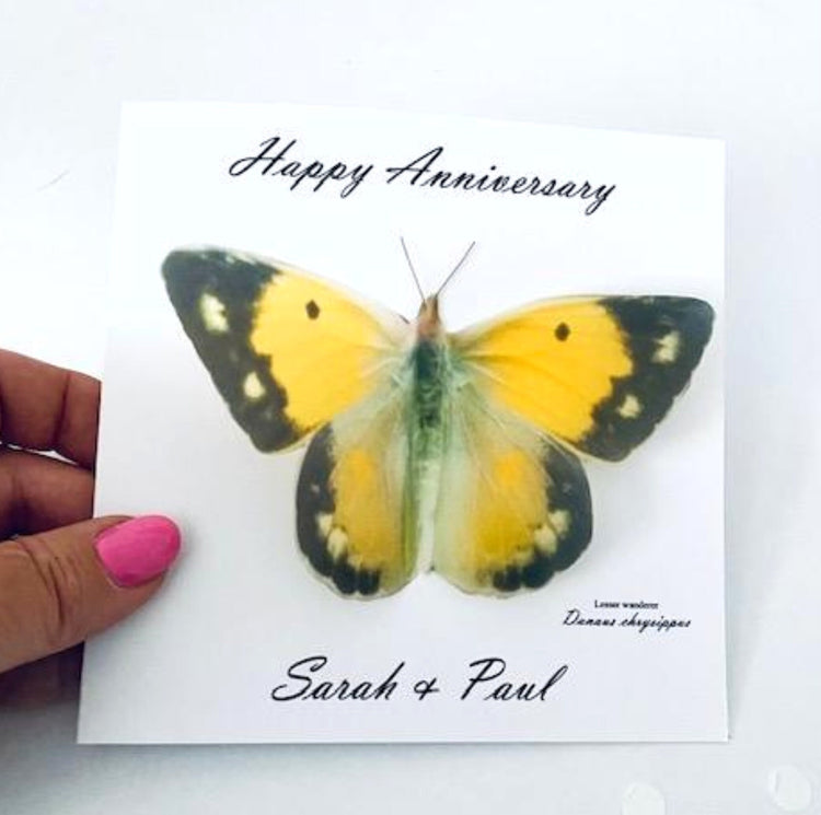 yellow butterfly birthday, greeting cardcard