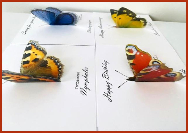 3d Butterfly Card. Peacock natural butterfly,plus a choice of other butterfly species.Personalised.Hand crafted. Thanksgiving,holidays