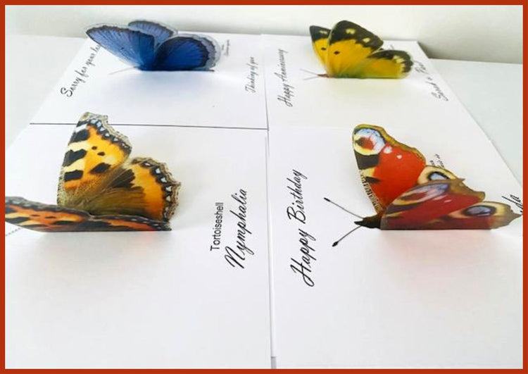 3d Butterfly Card. Clouded Yellow,plus other butterfly species.Personalised.Hand crafted. Thanksgiving,New year,Diwali,birthday,divorce