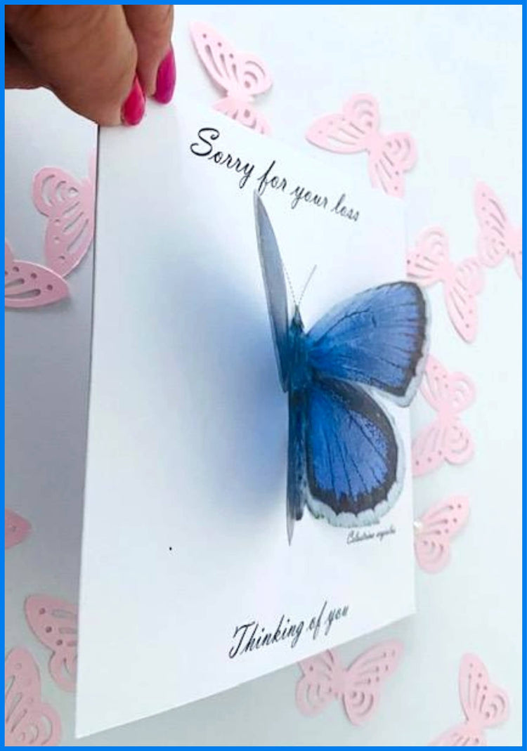 3d Butterfly Card. Peacock natural butterfly,plus a choice of other butterfly species.Personalised.Hand crafted. Thanksgiving,holidays