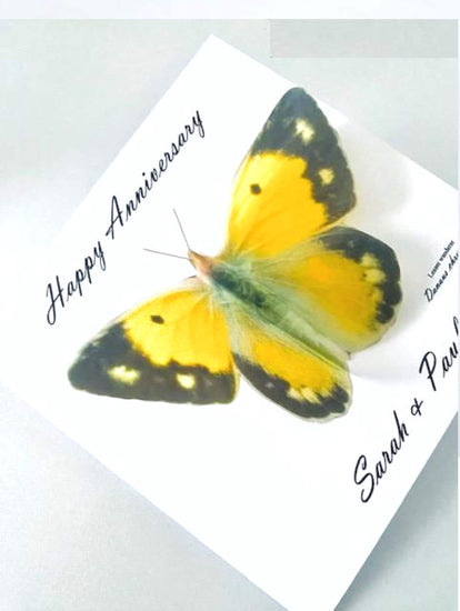Lesser Wanderer yellow butterfly card