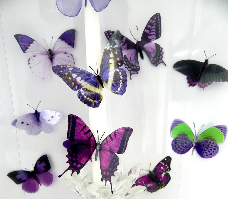 Purple butterflies.12 pieces mix wall butterflies,Faux butterflies.Natural butterfly decor. Wedding Decorations. Scrap booking, card making.