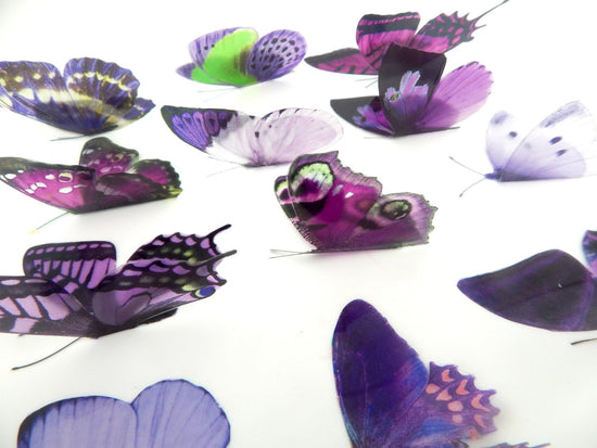 Wedding Mix of purple and lilac butterfly decorations