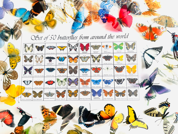 50 Butterflies. Display of realistic 3d butterflies,Wedding Embellishments, Craft Supplies. Identification reference chart included.