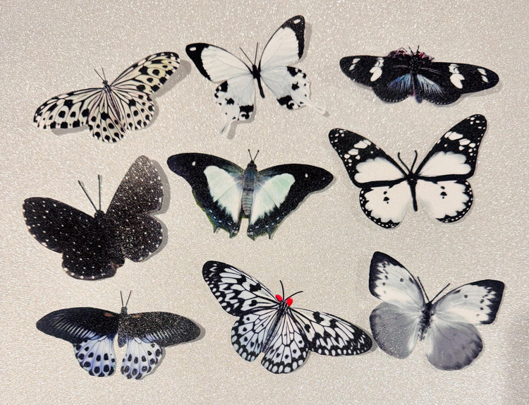  sparkly butterflies.  Black  and white decor. hand crafted