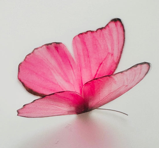 pink beautiful 3d butterfly