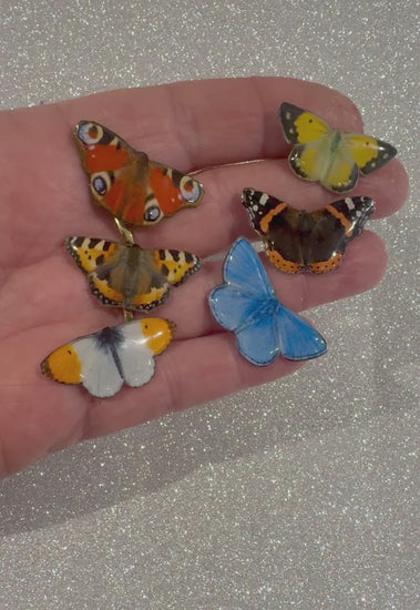  British butterflies.Red Admiral,Peacock,Common Blue,Orange Tip Lapel,brooch,pin.Enamel tin can pin