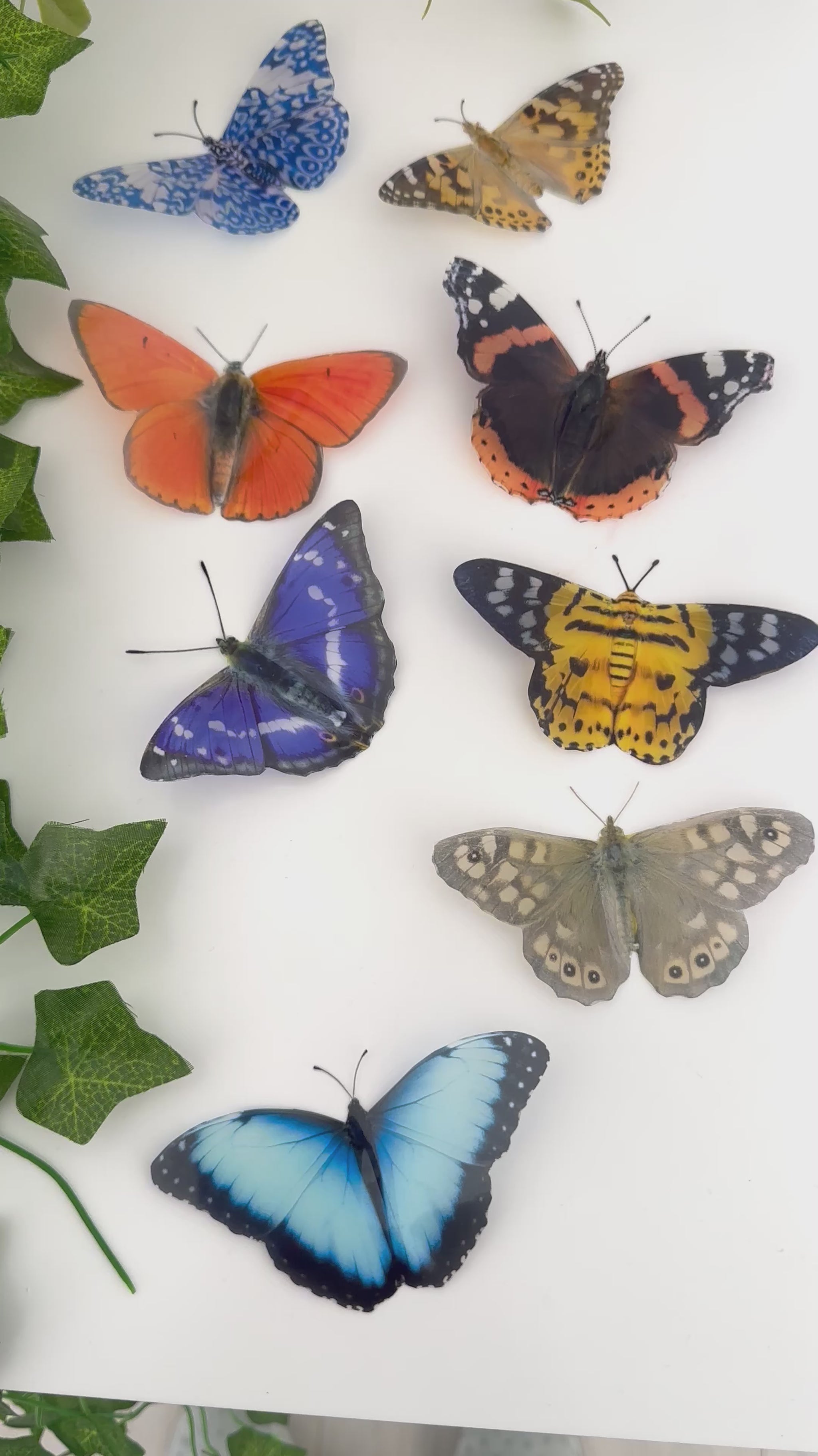Natural faux butterflies for your walls