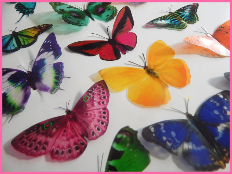 14 Tropical natural 3D butterflies, great for: bathroom,tiles,conservatory,lounge,bedroom,3d wall decor,beauty salon,pun,restaurant decor