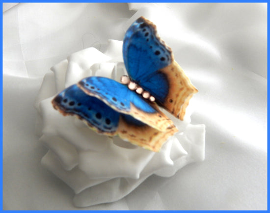 blue and beige silk butterfly hair clip by flutterframes