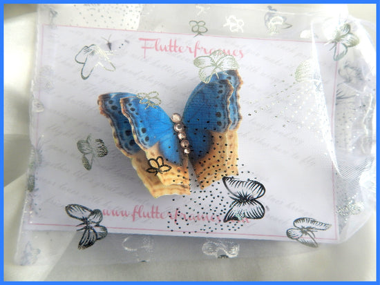 Blue silk butterfly wedding