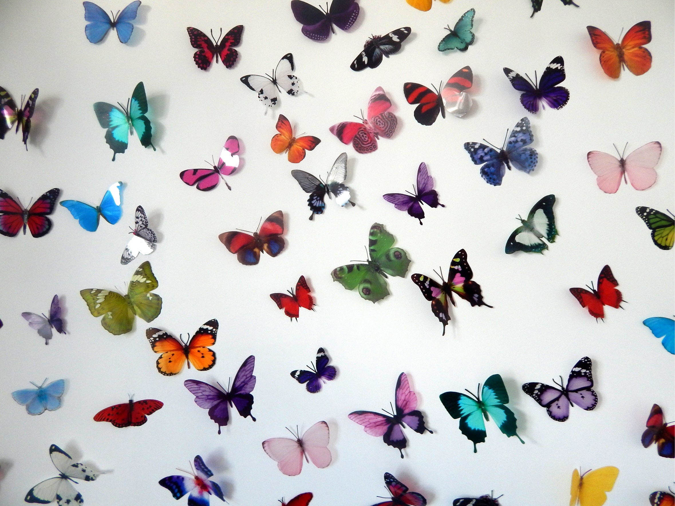 Set of 50 butterfly wall stickers. Similar to Escape to the Chateau ...