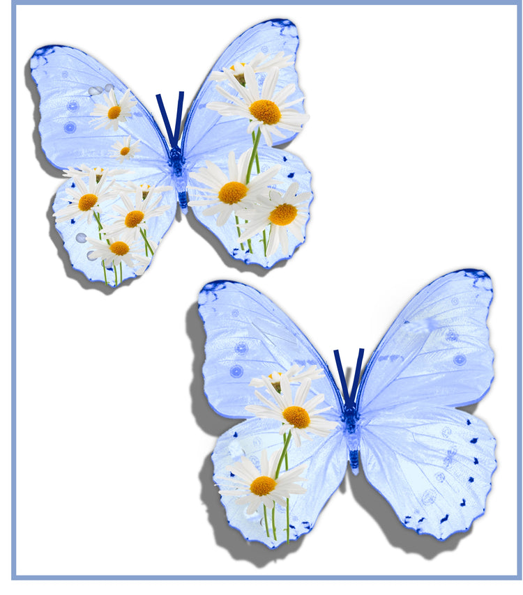 beautiful Daisy butterflies, weddings decor, for lounge,hall,conservatory,bedroom decor, wall decals,birthday gift, wedding decorations