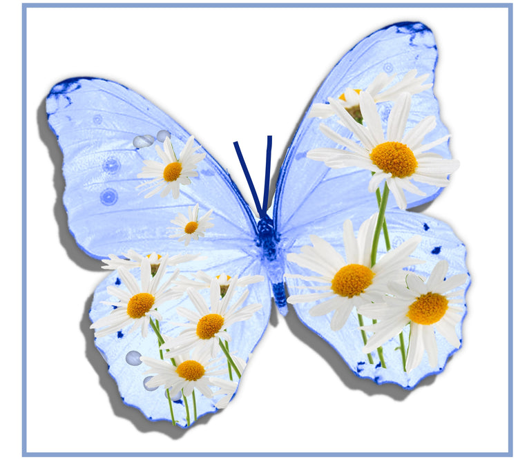 Corn flower blue Daisy wall stickers