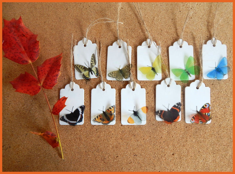 Butterfly gift tags. 10 British natural butterfly gift tags, set of gift tags from the British butterflies collection. Handmade rustic