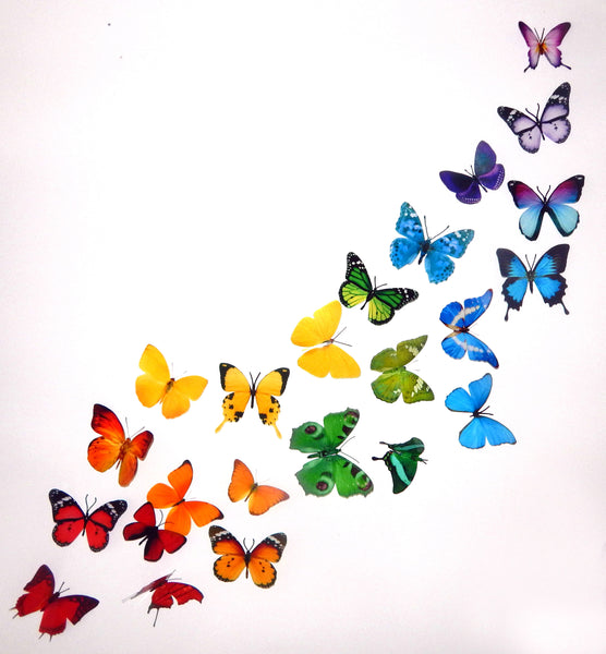 Rainbow of butterflies,3d butterflies the Rainbow,multi-coloured colle ...