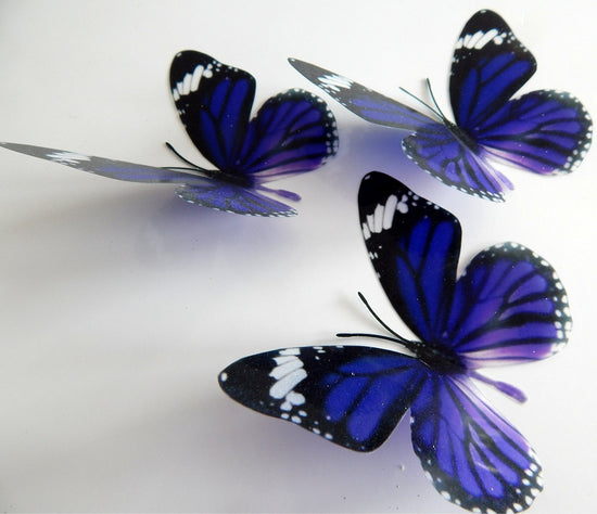 purple 3d butterflies by flutterframes