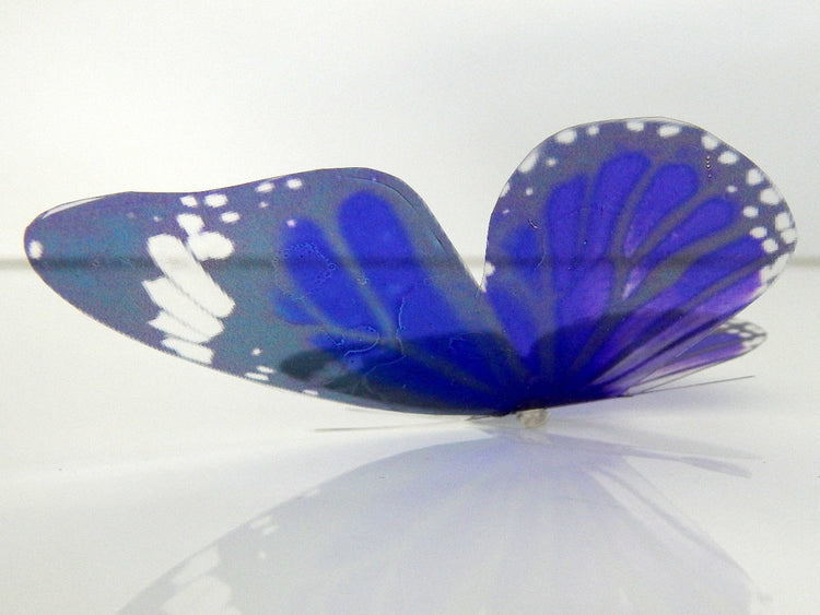 Purple faux butterfly sticker