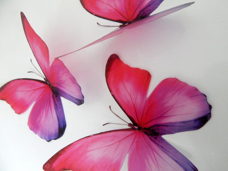 pink faux butterfly stickers