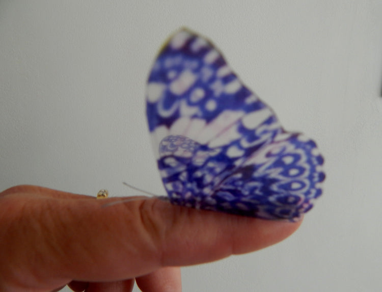 8 natural 3D butterflies,like in Escape to the Chateau, from the Country collection