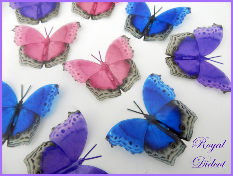 Pink, blue and purple natural 3d butterfly stickers, from the Royal Didcot collection