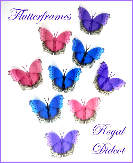 natural pretty butterflies for little girl's bedroom
