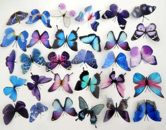 craft butterflies