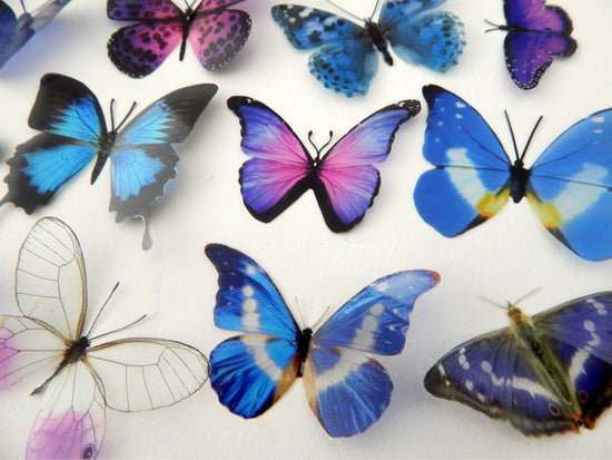 butterfly toppers blue and purple