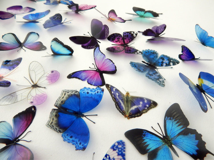 Decorative Butterflies, blue and purple scrapbooking, card making 3d wall stickers. Cut your own or have them cut for you. Craft Supplies