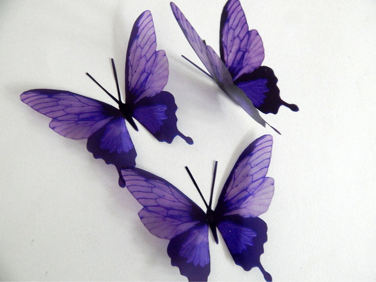 Purple butterfly 3d stickers