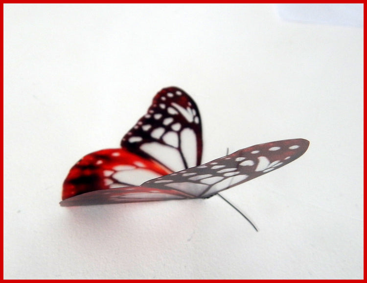 3d butterflies the Red collection 2, butterfly decor for the wall,conservatory, home,bedroom, lounge,window decorations, vase embellishments