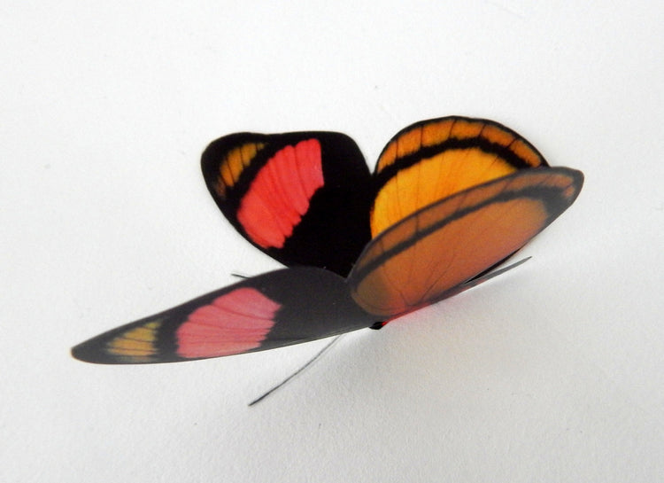 Decorative Butterflies, Set of Rustic natural mix of butterflies for scrapbooking, card making, 3d wall stickers. Craft Supplies